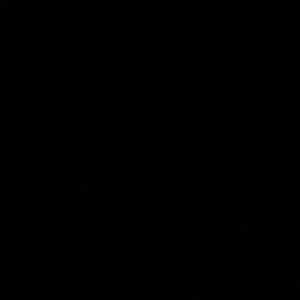 Meet your Posher, Maggie